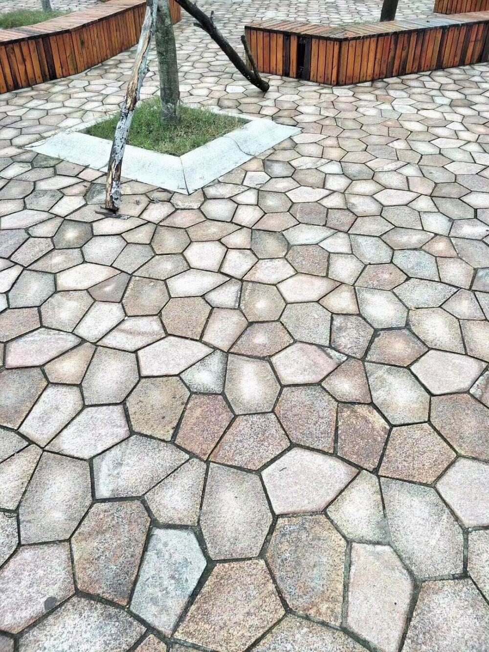 经典案例